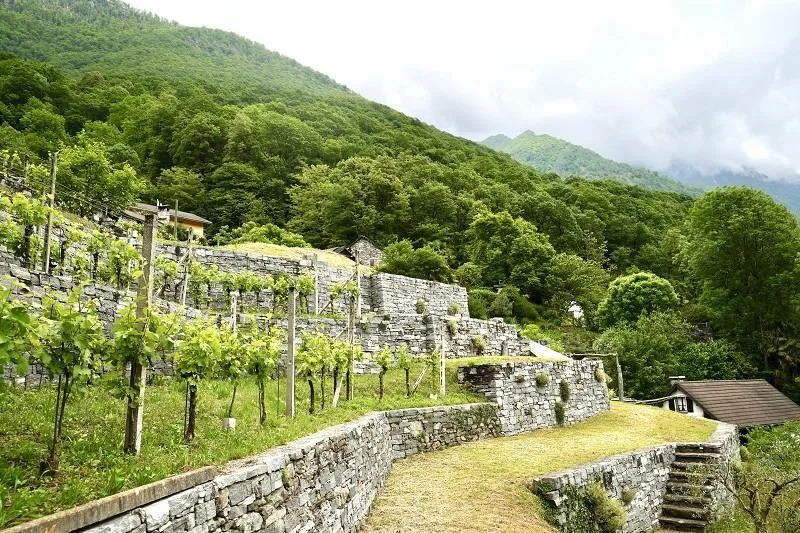 Bauland von 1001 m2 an ruhiger, sonniger Aussichtslage / terreno ed... – foto 9 di 15