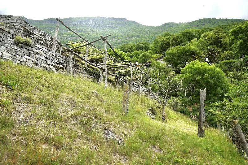 Bauland von 1001 m2 an ruhiger, sonniger Aussichtslage / terreno ed... – foto 6 di 15