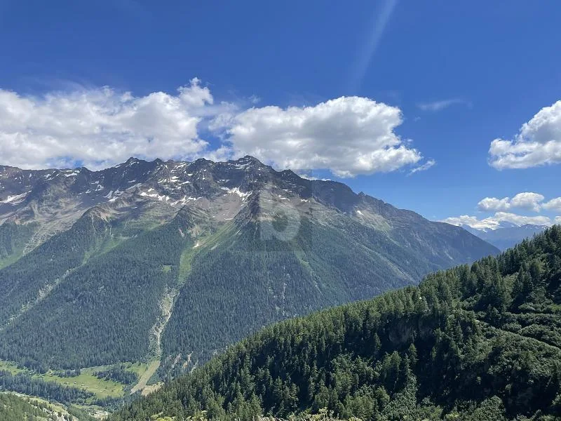 RUSTIKAL MIT HERRLICHEM PANORAMA