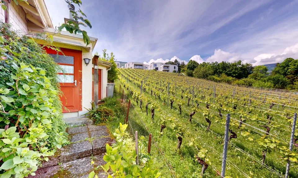 Kokon zum Gestalten mit freiem Blick auf die Weinberge