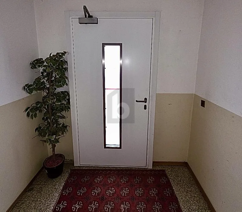 ATTRAENTE, TRANQUILLO & CON POTENZIALE