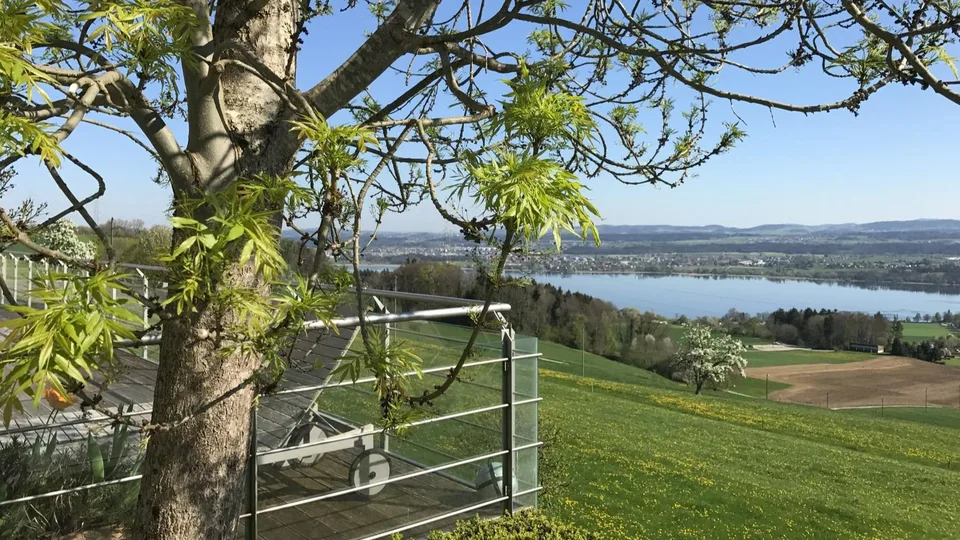 Ein Logenplatz über dem Greifensee – photo 7 sur 7