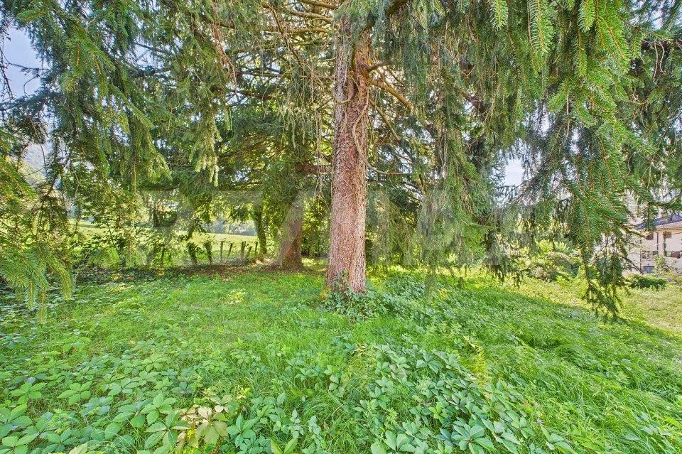 Terreno residenziale in zona verde e tranquilla a Tresa – Foto 13 von 13