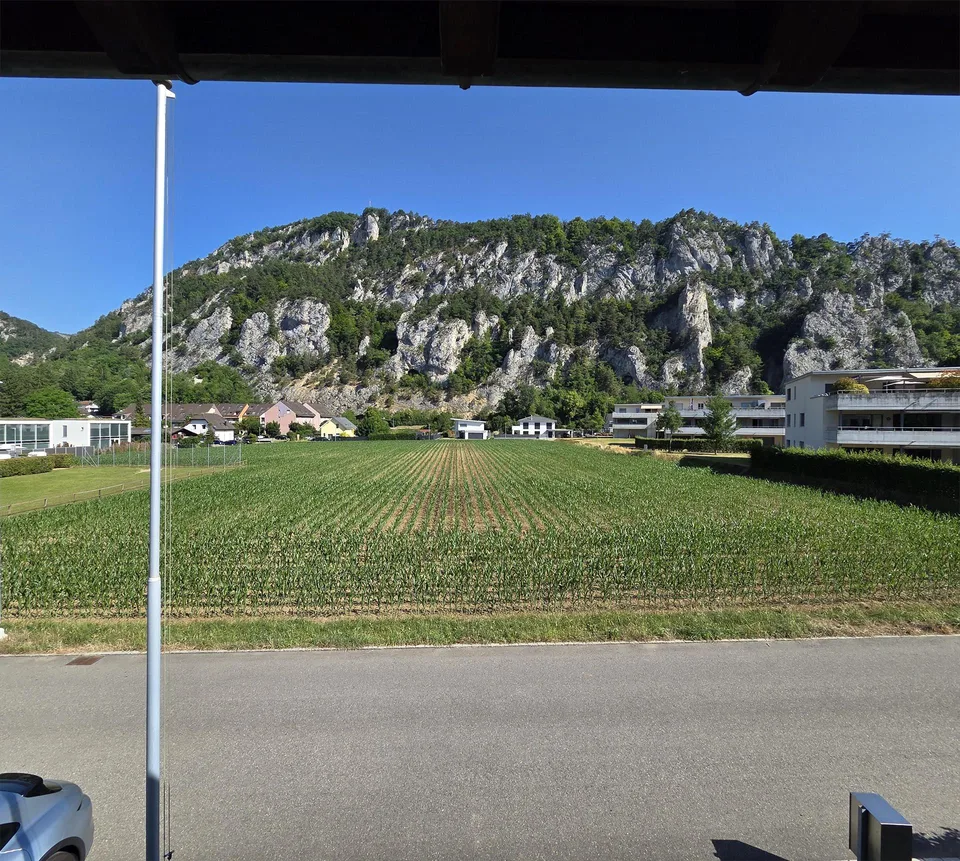 2 Haushälften mit je 5.5 Zi in ruhiger Lage in Balsthal zu verkaufen