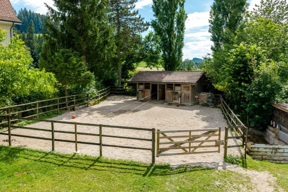 Bauernhaus mit 4 Wohnungen und Pferdestall auf grosszügigem Grundst... – Foto 8 von 17
