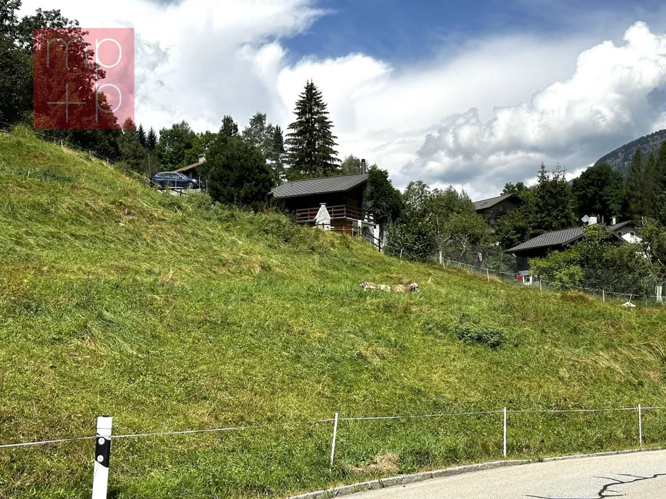 Terreno per costruire - Dalpe