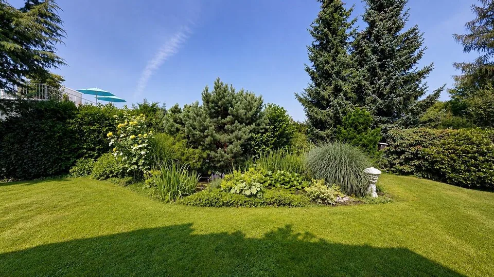 5 Zimmer Einfamilienhaus in Hochwald – Foto 22 von 30