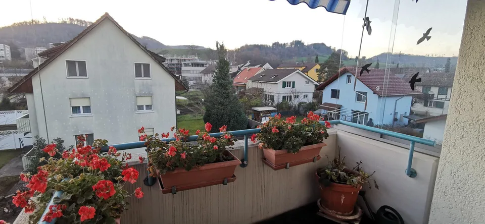 STWE-3.5 Zi Wohnung – photo 10 of 24