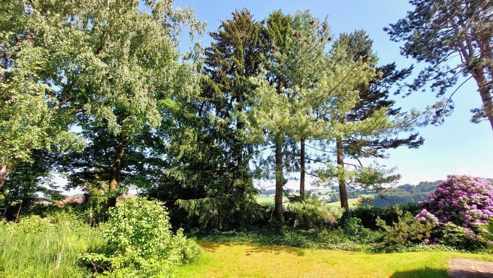 Landhaus mit grossem Garten und Baulandreserve