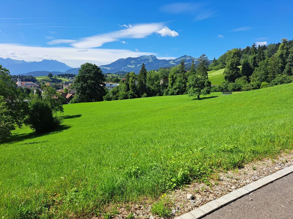 Bauland mit Aussicht auf Altstätten und Rheintal