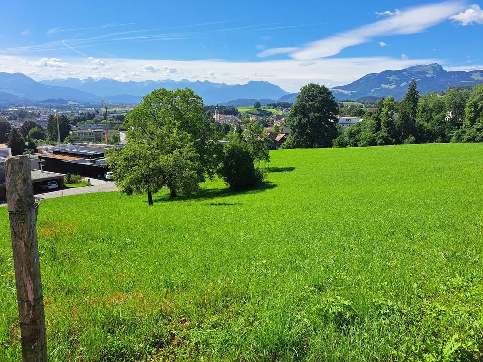 Bauland mit Aussicht auf Altstätten und Rheintal