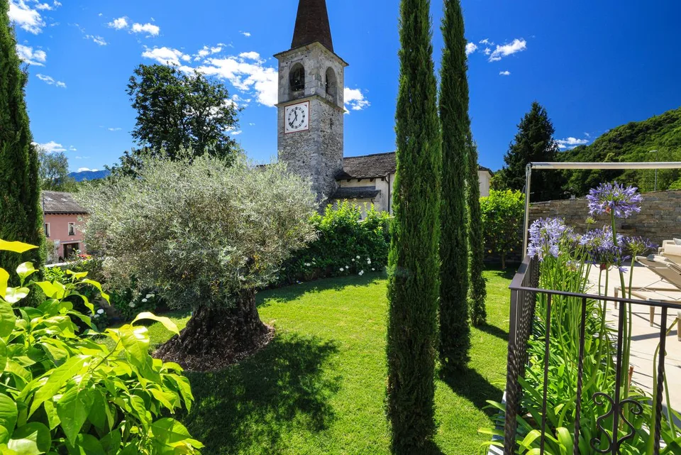 L'Ulivo Millenario | TI – photo 16 of 18