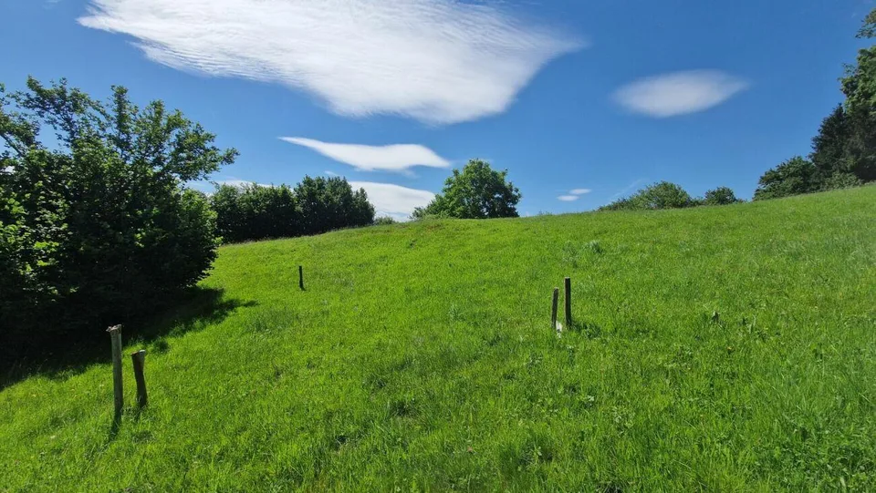 Bauland "Wilen", Walzenhausen