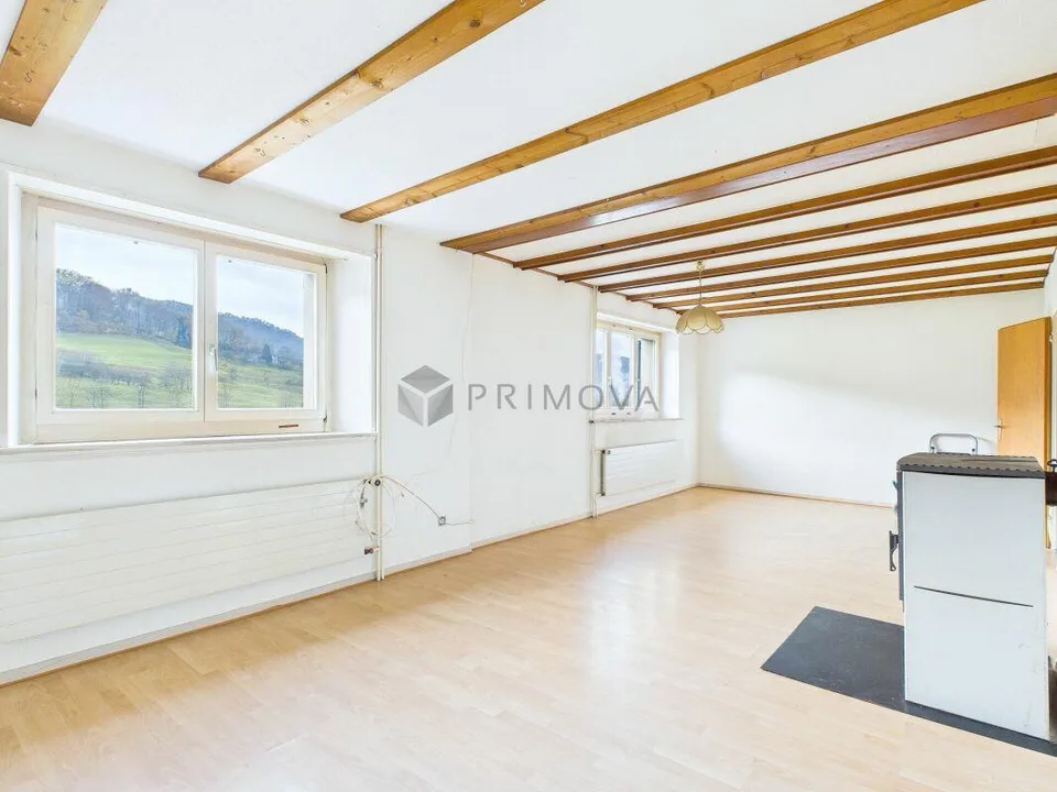 Grosszügiges 5.5 Zimmer-Doppeleinfamilienhaus an ruhiger Lage mit v...