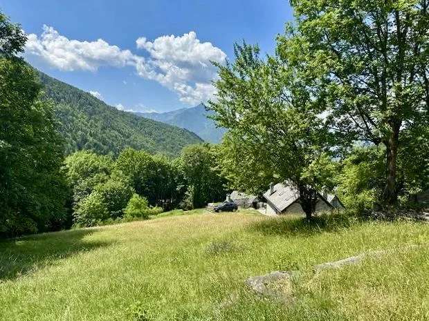 Rustico zum Ausbauen mit herrlicher Aussicht mit Waldparzelle   / r...