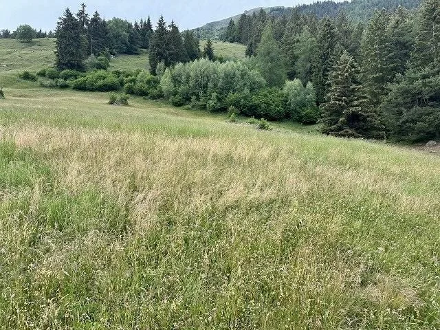 Chalet mit zwei Wohnungen und Panorama-Bergsicht / casa ticines... – Foto 15 von 19