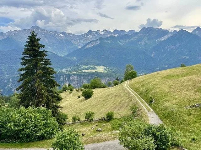 Chalet mit zwei Wohnungen und Panorama-Bergsicht   /   casa ticines...