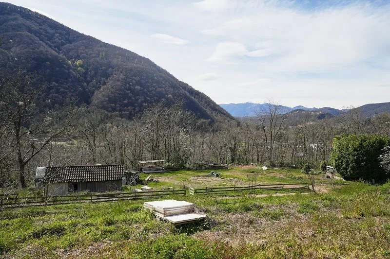 2-Zimmer-Haus mit sehr viel Land an sehr ruhiger, sonniger Aussicht... – foto 25 di 28