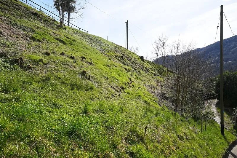 2-Zimmer-Haus mit sehr viel Land an sehr ruhiger, sonniger Aussicht... – foto 17 di 28