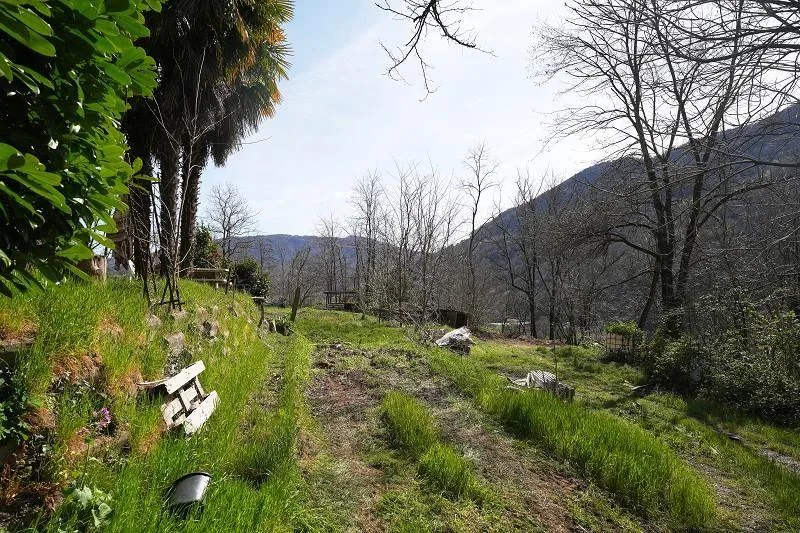 2-Zimmer-Haus mit sehr viel Land an sehr ruhiger, sonniger Aussicht... – foto 19 di 28