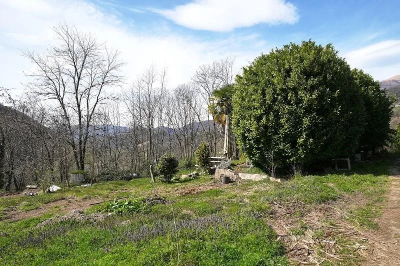 2-Zimmer-Haus mit sehr viel Land an sehr ruhiger, sonniger Aussicht... – foto 16 di 28