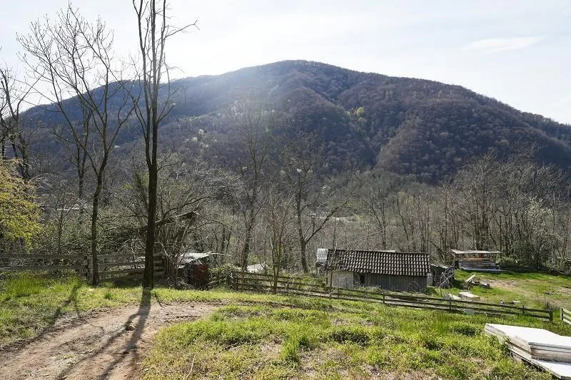 2-Zimmer-Haus mit sehr viel Land an sehr ruhiger, sonniger Aussicht... – foto 23 di 28