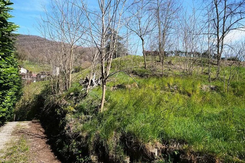2-Zimmer-Haus mit sehr viel Land an sehr ruhiger, sonniger Aussicht... – foto 15 di 28