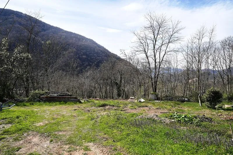 2-Zimmer-Haus mit sehr viel Land an sehr ruhiger, sonniger Aussicht... – foto 21 di 28
