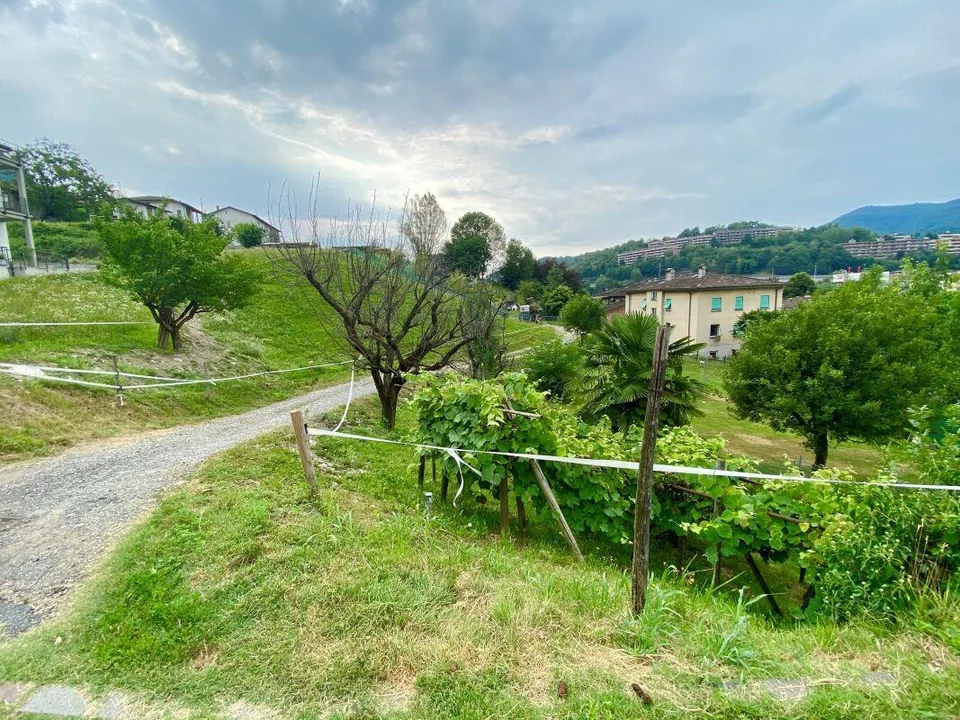 Casa di tre appartamenti per investimento a reddito – foto 12 di 13