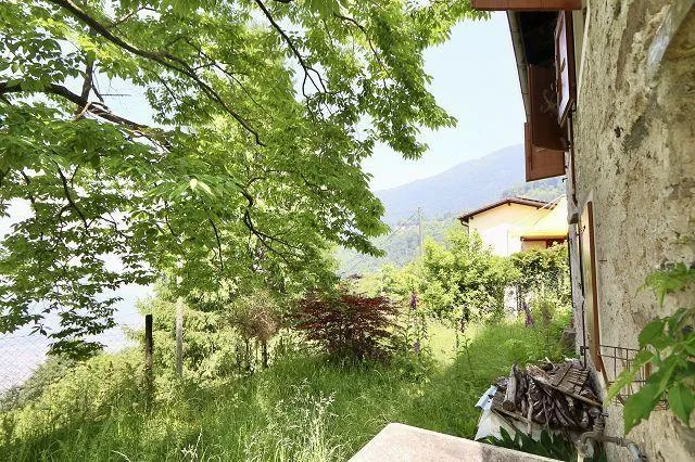 2 1/2-Zimmer-Rustico mit Garten an sehr ruhiger, sonniger Aussichts... – Foto 19 von 27