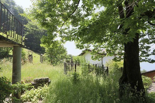 2 1/2-Zimmer-Rustico mit Garten an sehr ruhiger, sonniger Aussichts... – Foto 20 von 27