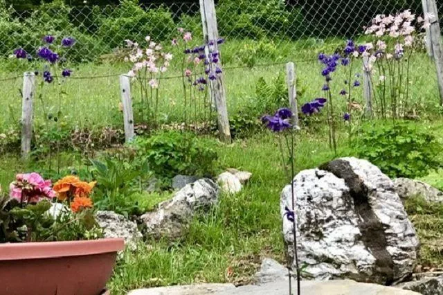 2 1/2-Zimmer-Rustico mit Garten an sehr ruhiger, sonniger Aussichts... – Foto 15 von 27