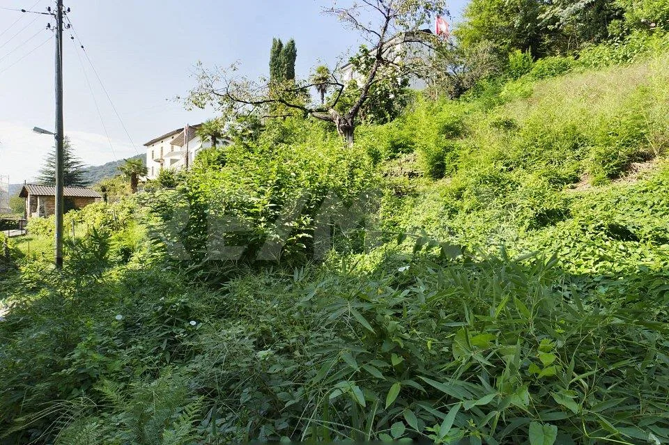 Terreno edificabile ideale per chi cerca la tranquillità