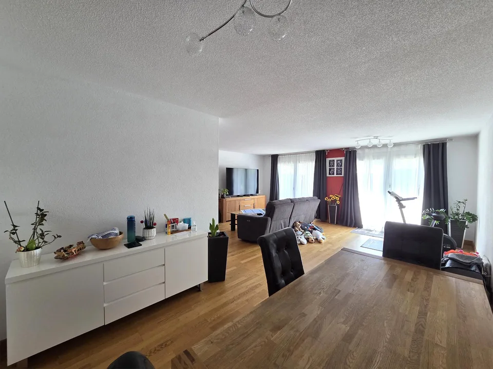Direkt am Rhein