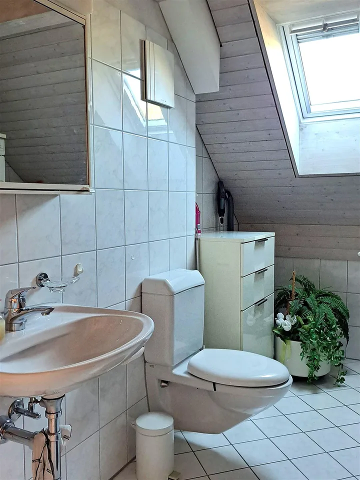 Einzigartige Maisonette Wohnung mit fantastischem Alpsteinpanorama – photo 25 of 30
