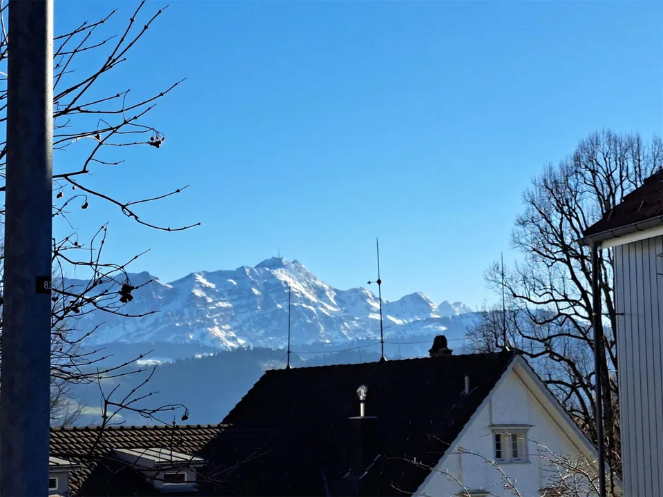 Einzigartige Maisonette Wohnung mit fantastischem Alpsteinpanorama – photo 6 of 30