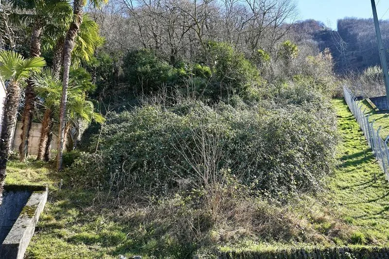Bauland von 540 m2 und 1578 m2 Wald an Panoramaseeblicklage / terre... – Foto 6 von 10