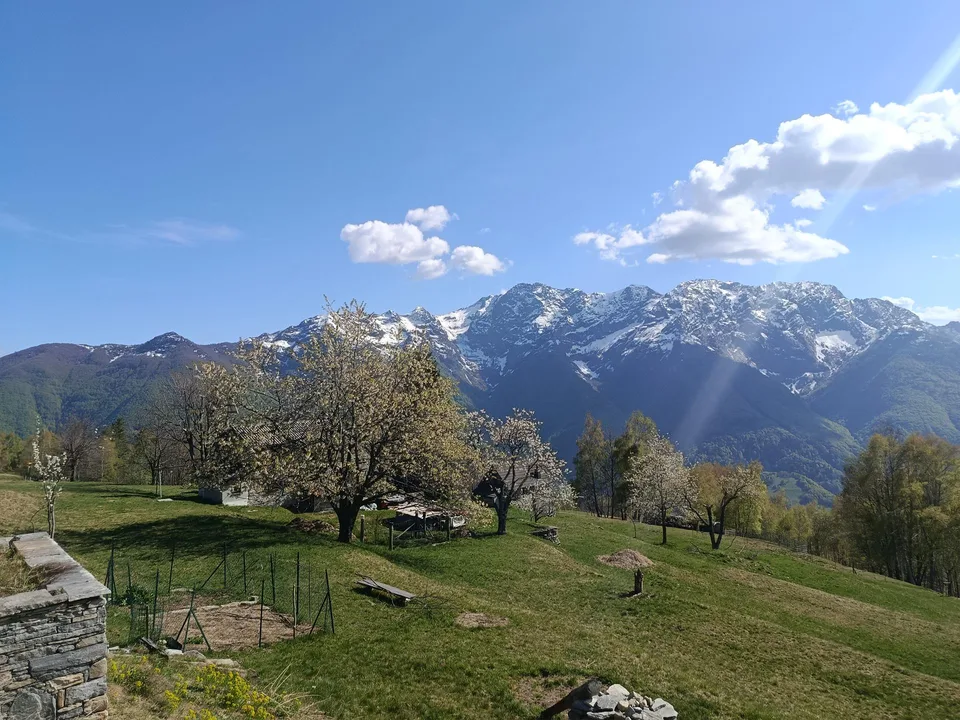 MONTI DI COMINO-Rustico mit genehmigter Baubewilligung zur Renovation