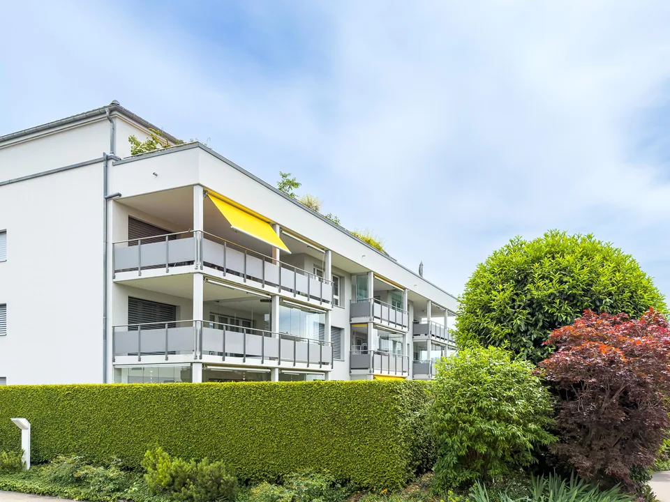 Freundliche Wohnung mit grossen Fenstern