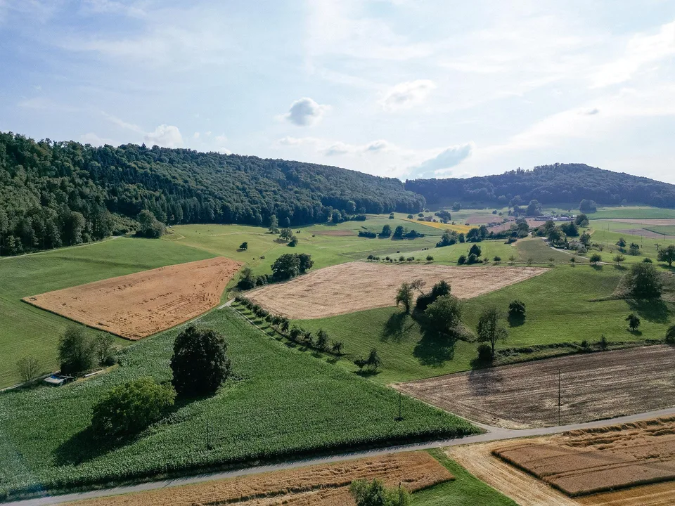 Zweifamilienhaus mit Anbau und Waldgrundstück
