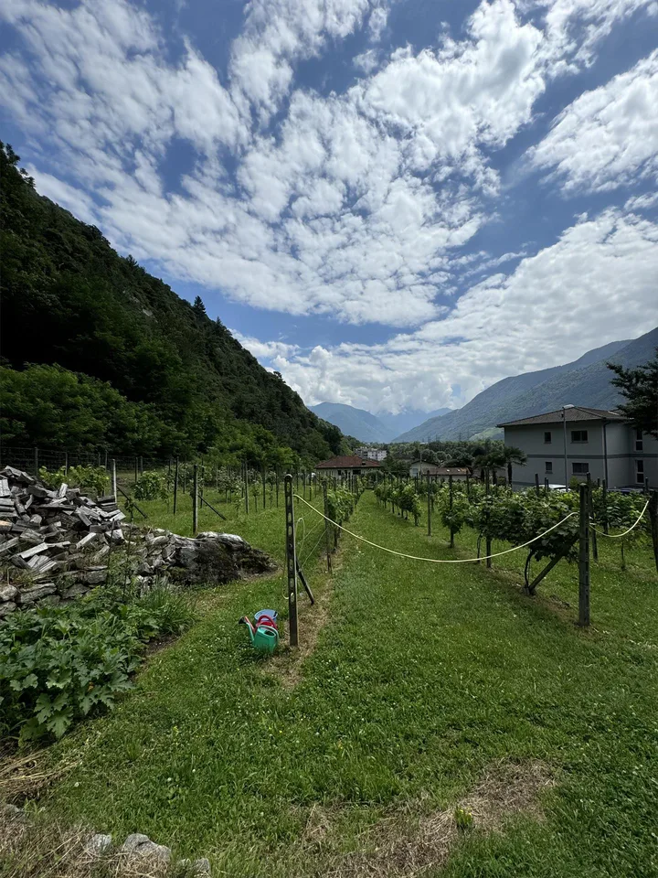 Terreno edificabile pianeggiante in vendita a Cresciano, 6705 Riviera