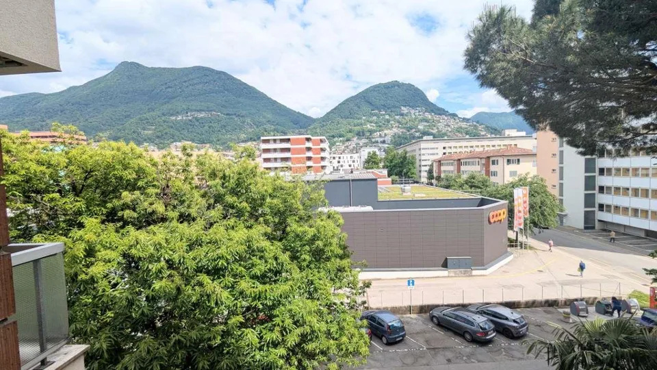 Molino Nuovo, 3,5 piano alto , terrazzo e balcone