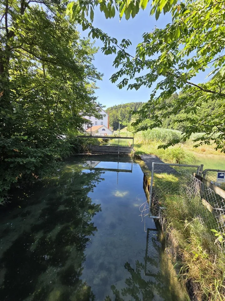 Villa Bühler | ZH – Foto 9 von 13