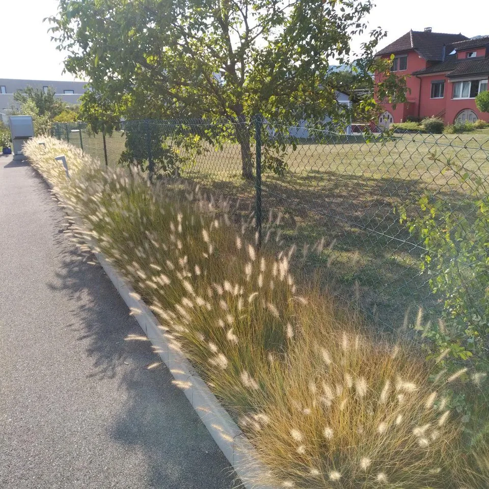 Maison moderniste pour indépendant/e/s – photo 19 sur 22