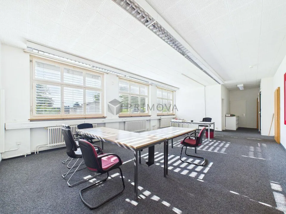 Viel Raum, viele Möglichkeiten - Gewerbeliegenschaft mit Bodensee-C...