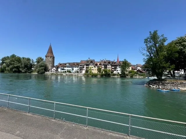 Wohnen an der Reuss