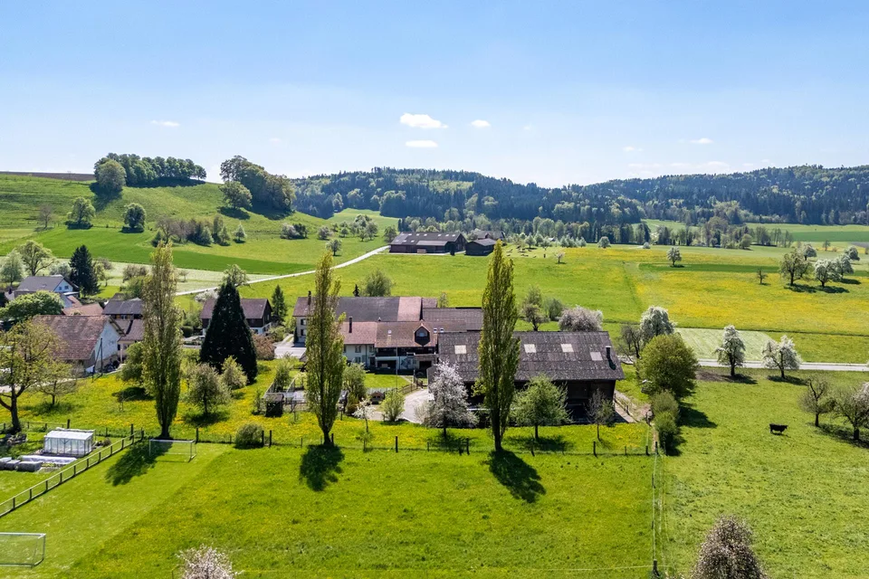 Vielfältiges Landanwesen, 3 Wohneinheiten, Stall & Remisen