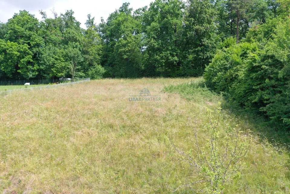 Exklusives Bauland mit Panorama – privilegierte Lage im Leimental