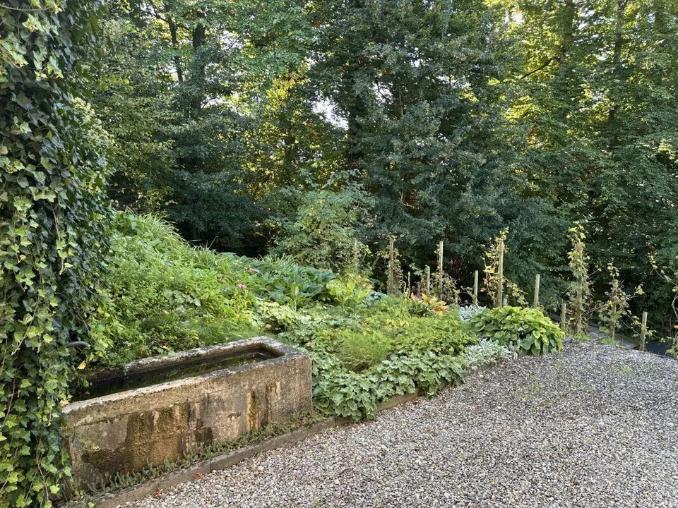 5.5-Einfamilienhaus für Architekturliebhaber