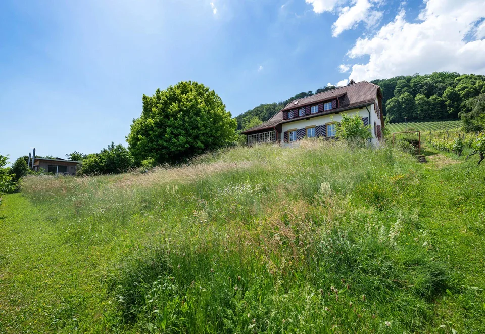 Landliebe im Herzen der Rebberge